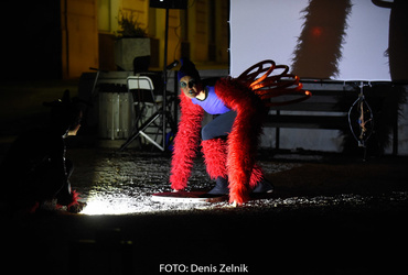 Ana Mrzla: Ime mi je Vida <em>Foto: Denis Zelnik</em>