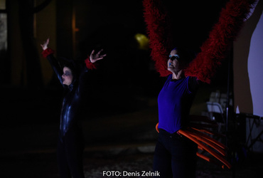 Ana Mrzla: Ime mi je Vida <em>Foto: Denis Zelnik</em>