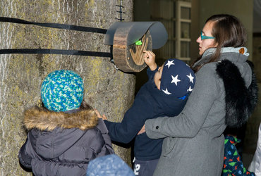 Ana Lumina <em>Foto: ©Denis Zelnik za Hiša!</em>