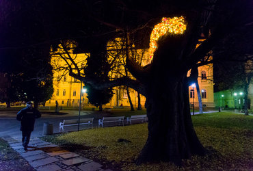 Ana Lumina <em>Foto: ©Denis Zelnik za Hiša!</em>