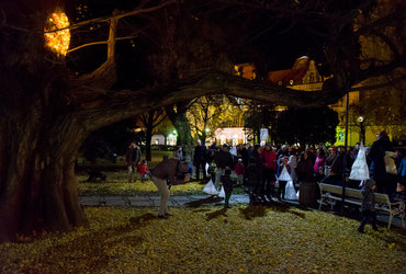 Ana Lumina <em>Foto: ©Denis Zelnik za Hiša!</em>