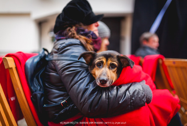 Sprehod v preteklost in v pravljični svet <em>Foto: ©Dejan Bulut za Narodni dom Maribor</em>
