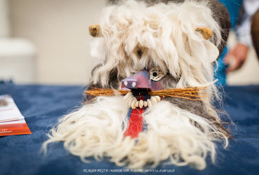 Sprehod v preteklost in v pravljični svet <em>Foto: ©Dejan Bulut za Narodni dom Maribor</em>