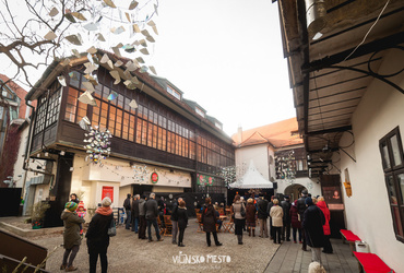 Vilinska nedelja <em>Foto: ©Dejan Bulut za Narodni dom Maribor</em>