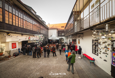 Vilinska nedelja <em>Foto: ©Dejan Bulut za Narodni dom Maribor</em>