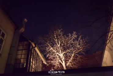 Nikoli dolgčas! <em>Foto: ©Dejan Bulut za Narodni dom Maribor</em>