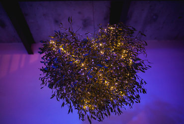 Vilinski dvor je odprt! <em>Foto: ©Dejan Bulut za Narodni dom Maribor</em>