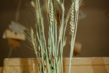 Energija, ki prija <em>Foto: ©Dejan Bulut za Narodni dom Maribor</em>