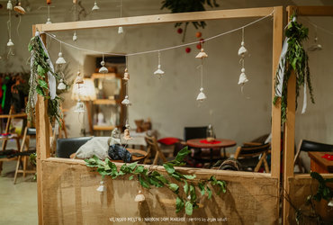 Energija, ki prija <em>Foto: ©Dejan Bulut za Narodni dom Maribor</em>