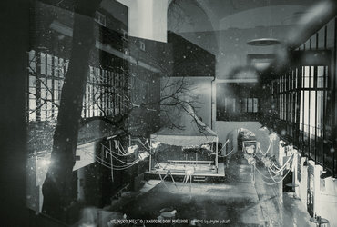 Energija, ki prija <em>Foto: ©Dejan Bulut za Narodni dom Maribor</em>