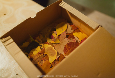 Glasba, petje, ples in ustvarjalnost <em>Foto: ©Dejan Bulut za Narodni dom Maribor</em>