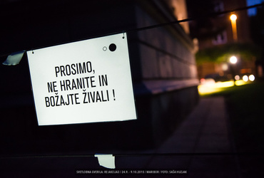 Katja Paternoster - Nočni obiskovalci <em>Foto: ©Saša Huzjak/Arhiv Vetrinjski dvor - Narodni dom Maribor</em>