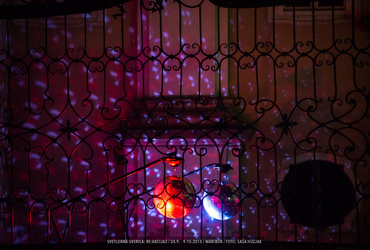 Marjeta Zupančič Meglič - Skrivnostni vrt <em>Foto: ©Saša Huzjak/Arhiv Vetrinjski dvor - Narodni dom Maribor</em>