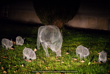 Katja Paternoster - Nočni obiskovalci