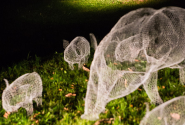 Katja Paternoster - Nočni obiskovalci <em>Foto: ©Saša Huzjak/Arhiv Vetrinjski dvor - Narodni dom Maribor</em>