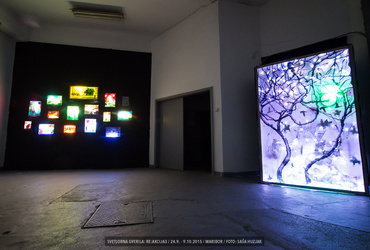 Tina Drčar - Električni kolaži <em>Foto: ©Saša Huzjak/Arhiv Vetrinjski dvor - Narodni dom Maribor</em>