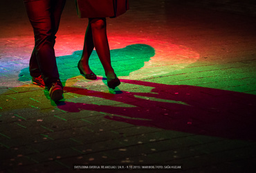 Aleksandra Stratimirović - V.I.P. <em>Foto: ©Saša Huzjak/Arhiv Vetrinjski dvor - Narodni dom Maribor</em>