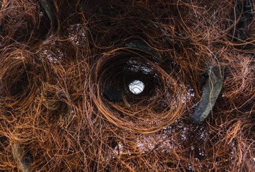 Joy Sfeir, Tony Keyrouz in Charbel A. Dragham