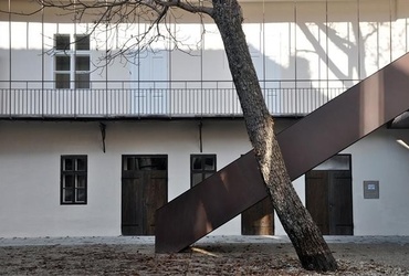 Programski uporabniki