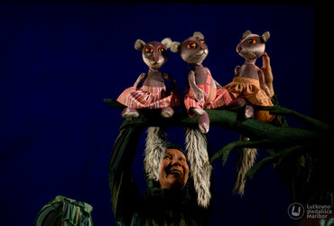 ZELIŠČA MALE ČAROVNICE IN SENČNE LUTKE <em>Foto: Arhiv Lutkovno gledališče Maribor</em>