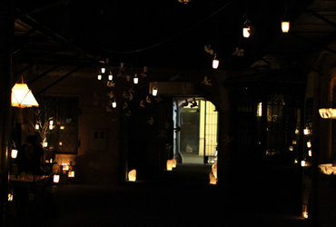 ZLATA PTICA - svetlobna postavitev <em>Foto: Foto: Boštjan Selinšek</em>