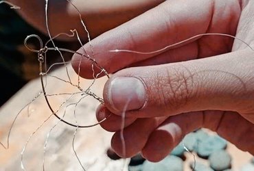 VILINSKO DREVO ŽIVLJENJA 