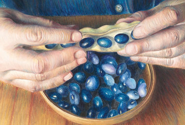 Alenka Spacal: FIŽOLČICA BEŽI PRED FIŽOLOVO JUHO