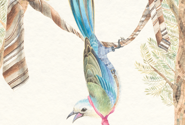 Alenka Spacal: PTIČJE PRAVLJIČNO POPOLDNE 