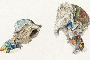 ČASOPISNA KULTURA, ALENKA SPACAL