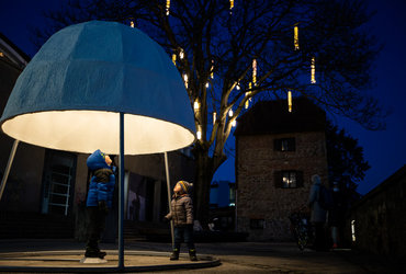 CIKEL <em>Foto: Boštjan Selinšek</em>