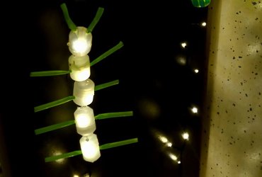 KRESNIČKE <em>Foto: Maja Pegan</em>