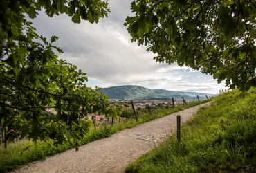 Rajzefirbčni sprehod: MARIBOR, KI GA VEČ NI