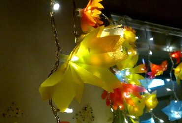 SVETLEČE CVETJE <em>Foto: Maja Pegan</em>